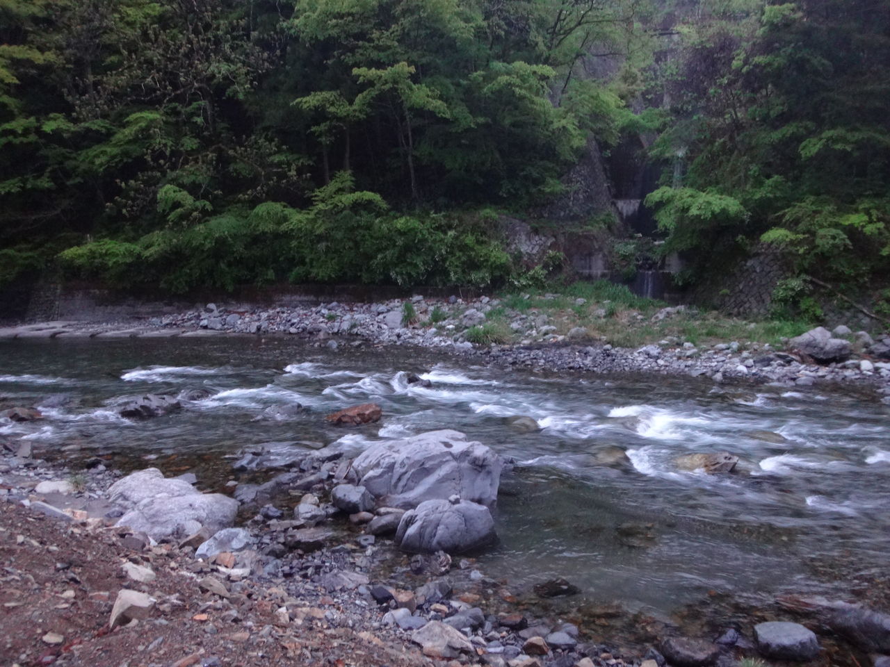 山梨県丹波川 ヤマメ釣り まんまるblogの食べて遊んでパワーアップ