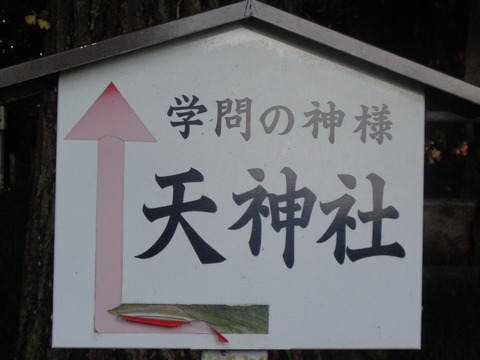DSC05836