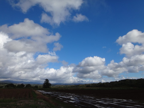 DSC08736