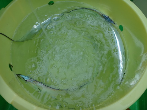 DSC07811
