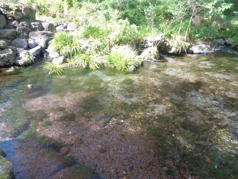 DSC07990
