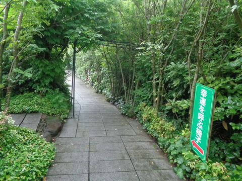 DSC03940
