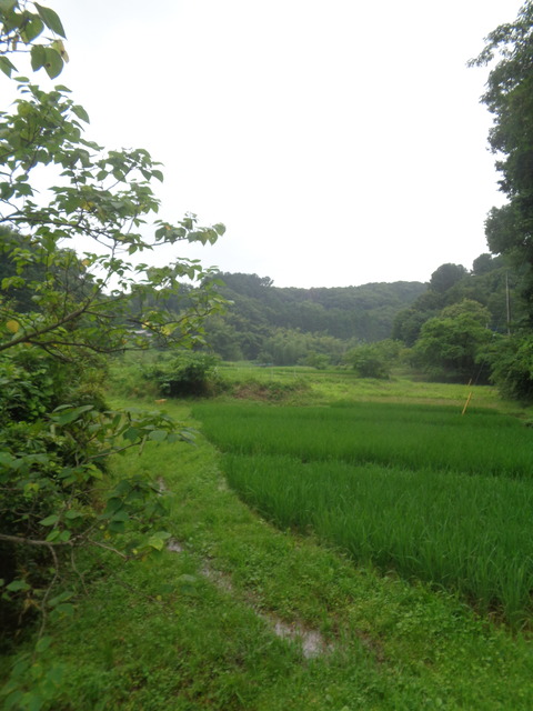 DSC00210