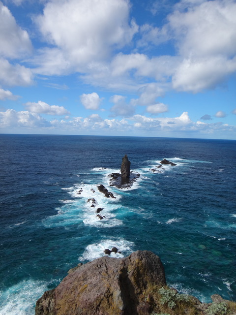 DSC08731