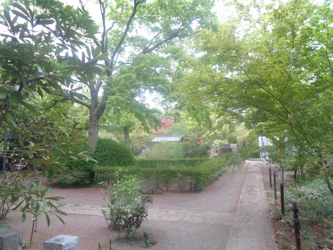 DSC02000