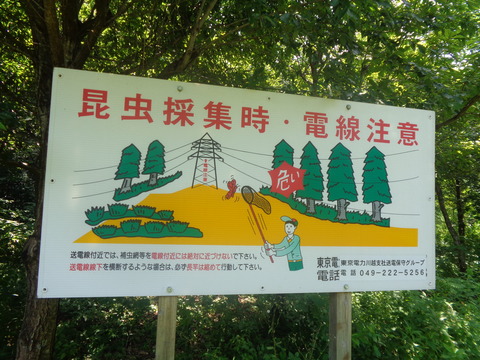 DSC04175