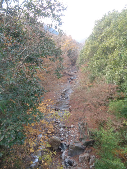 DSC06793