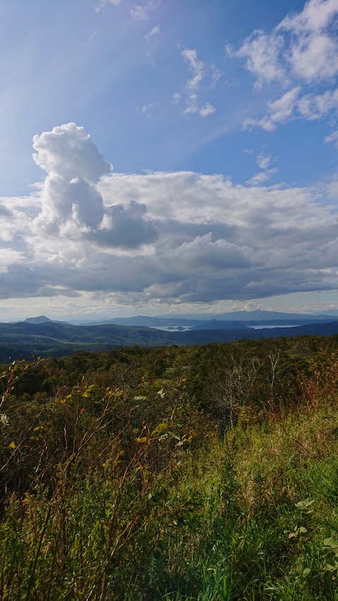 DSC_1785