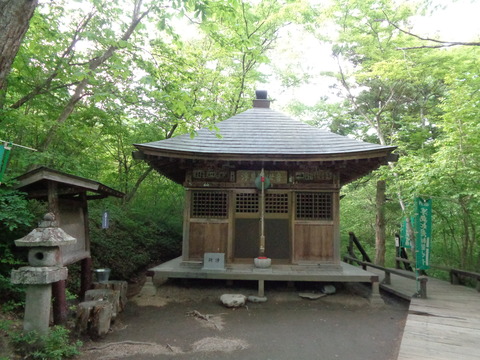 DSC06102