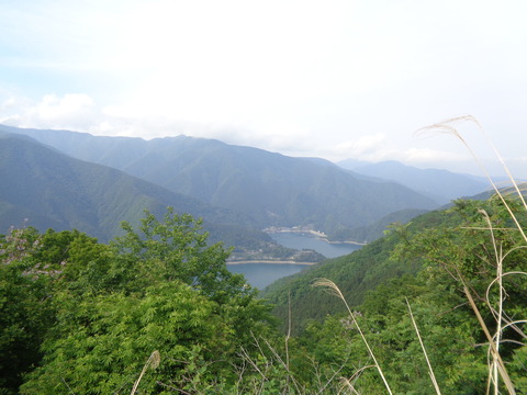 DSC02940