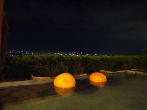 DSC06865