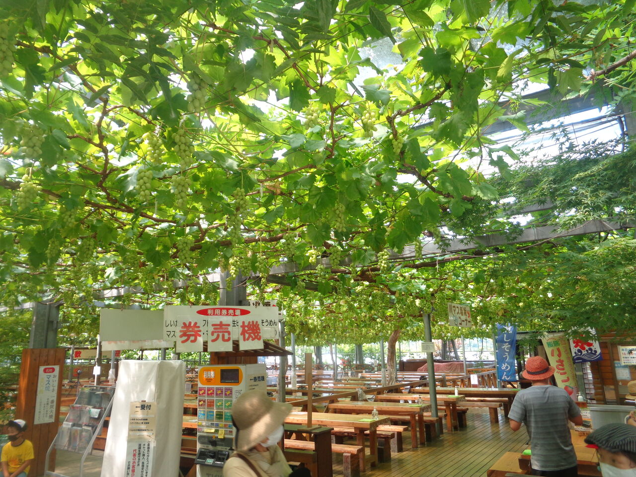 横瀬町 小松沢レジャー農園 まんまるblogの食べて遊んでパワーアップ