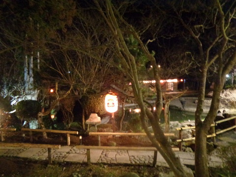 DSC07911