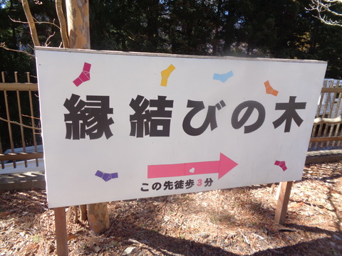DSC08170