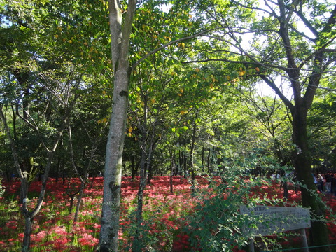 DSC02340