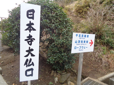 DSC01155