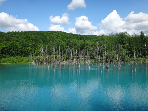 DSC04551