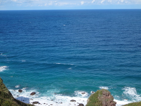DSC08726