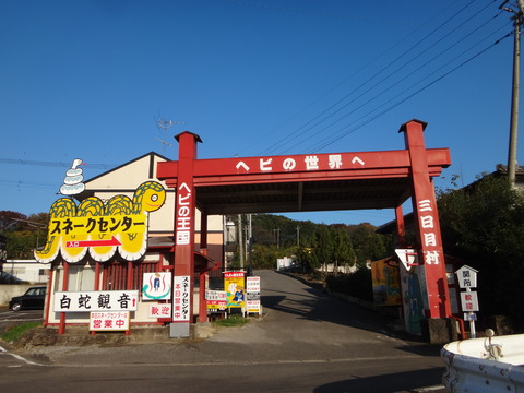 DSC09441