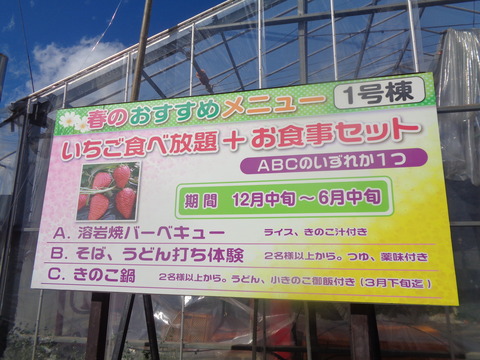 DSC08187