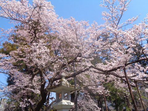 DSC08304