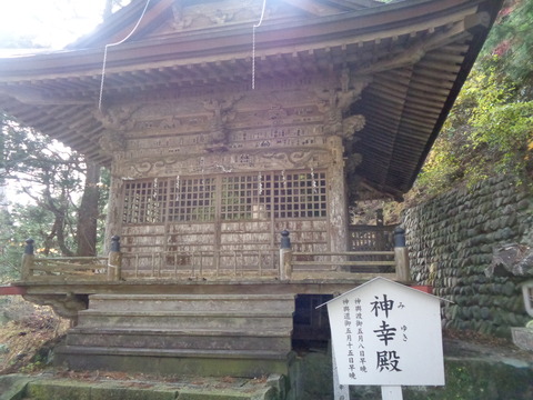 DSC06326
