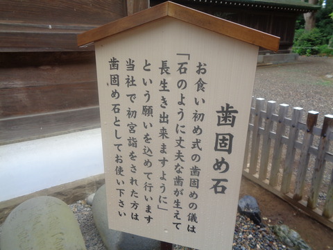 DSC01964