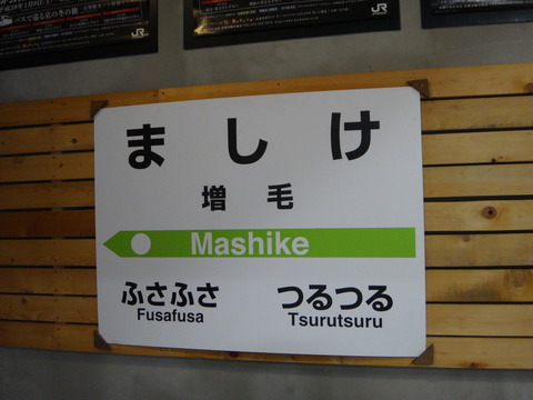 DSC04420