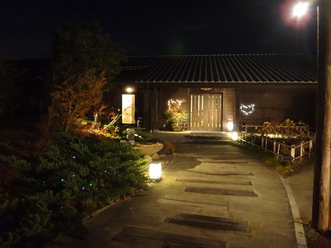 DSC04133
