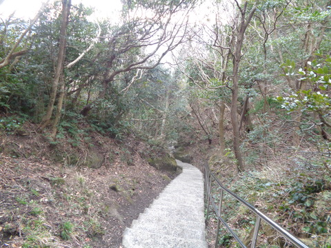 DSC01146