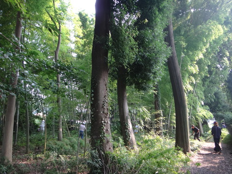 DSC07380