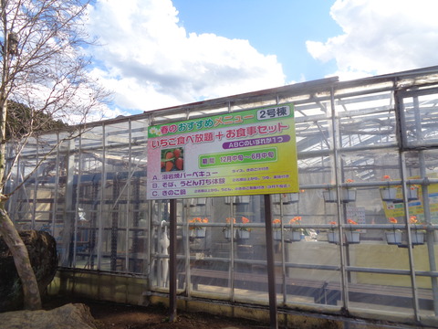 DSC08188