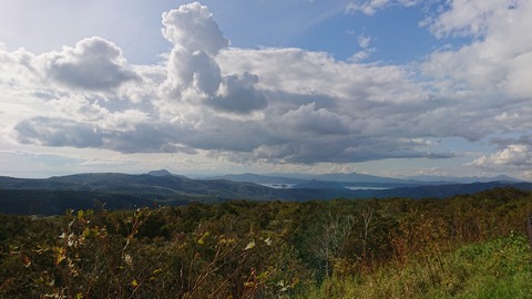 DSC_1786