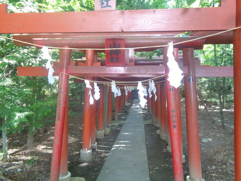 DSC04341