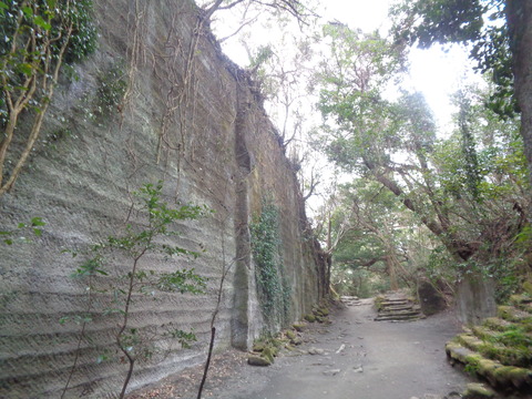 DSC01136
