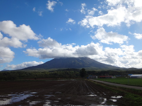 DSC08734