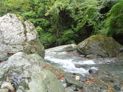 DSC05140
