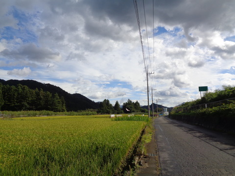DSC05139