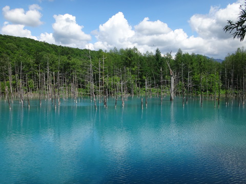DSC04550