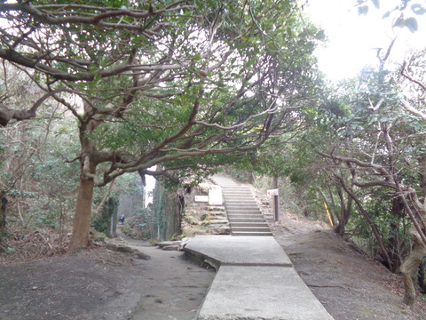 DSC01134