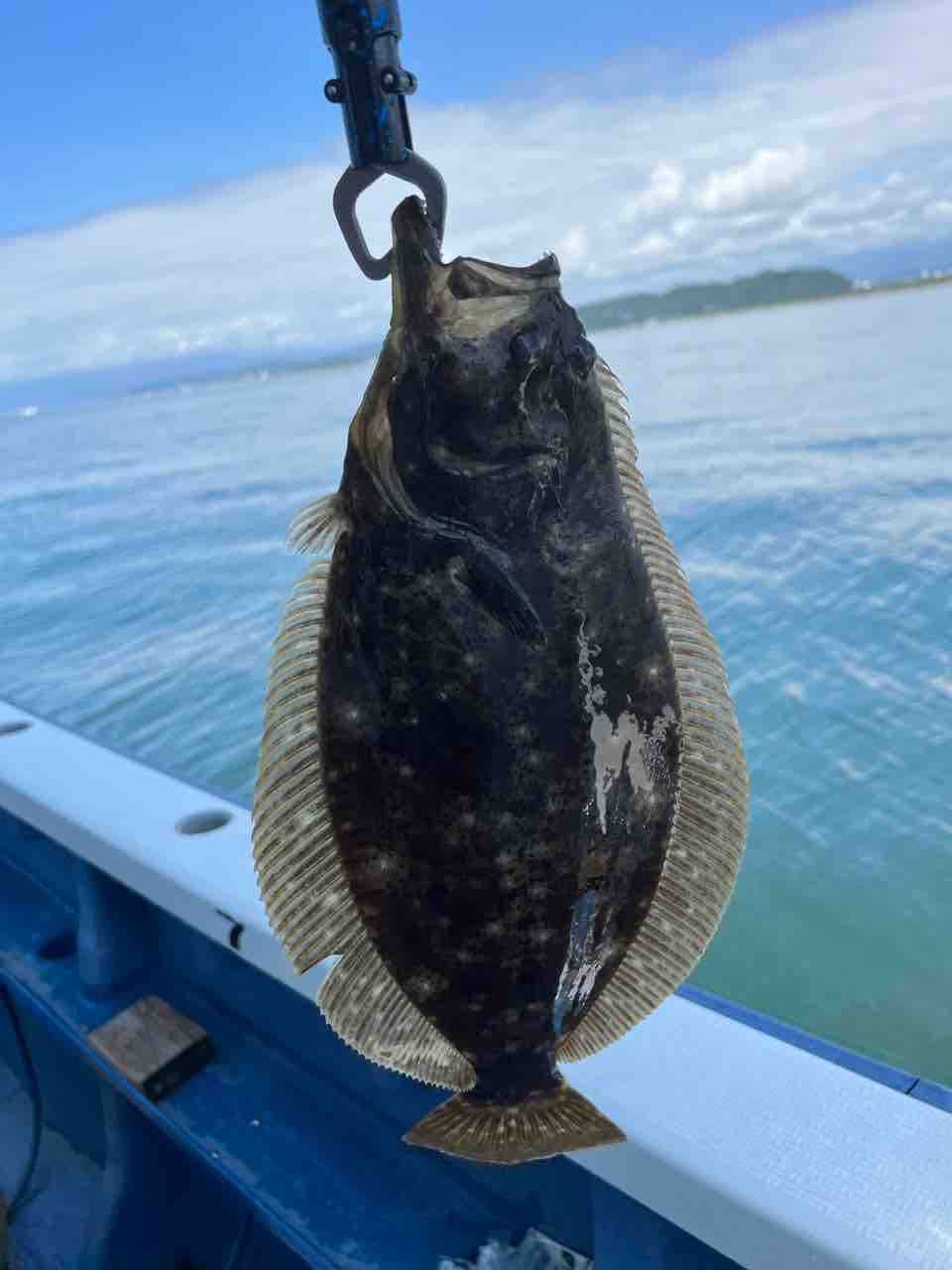 ヒラメ にしきよの「釣るまで帰らへん！」～梅雨ヒラメ釣行編～ | 釣具