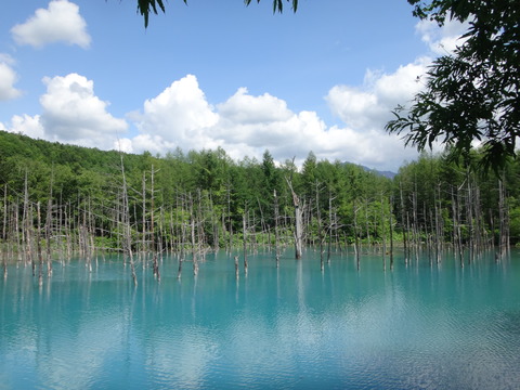 DSC04552