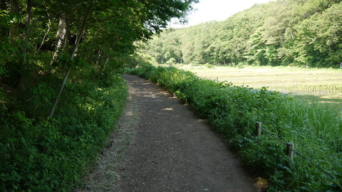 P1010106