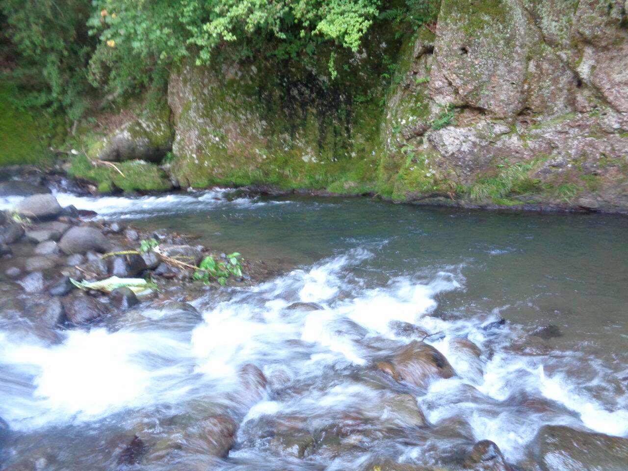 山梨県桂川支流渓流釣り まんまるblogの食べて遊んでパワーアップ 山梨県桂川支流渓流釣り まんまるblogの食べて遊んでパワーアップ