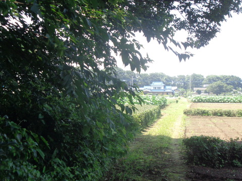 DSC04185