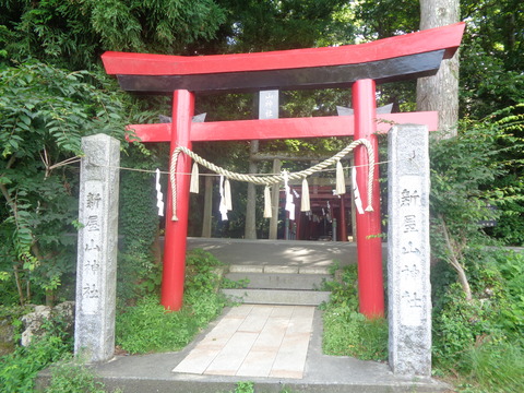 DSC04338