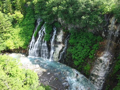 DSC04565