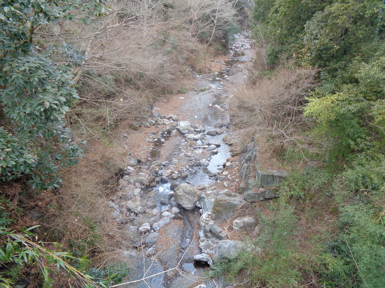 秩父温泉 満願の湯 まんまるblogの食べて遊んでパワーアップ