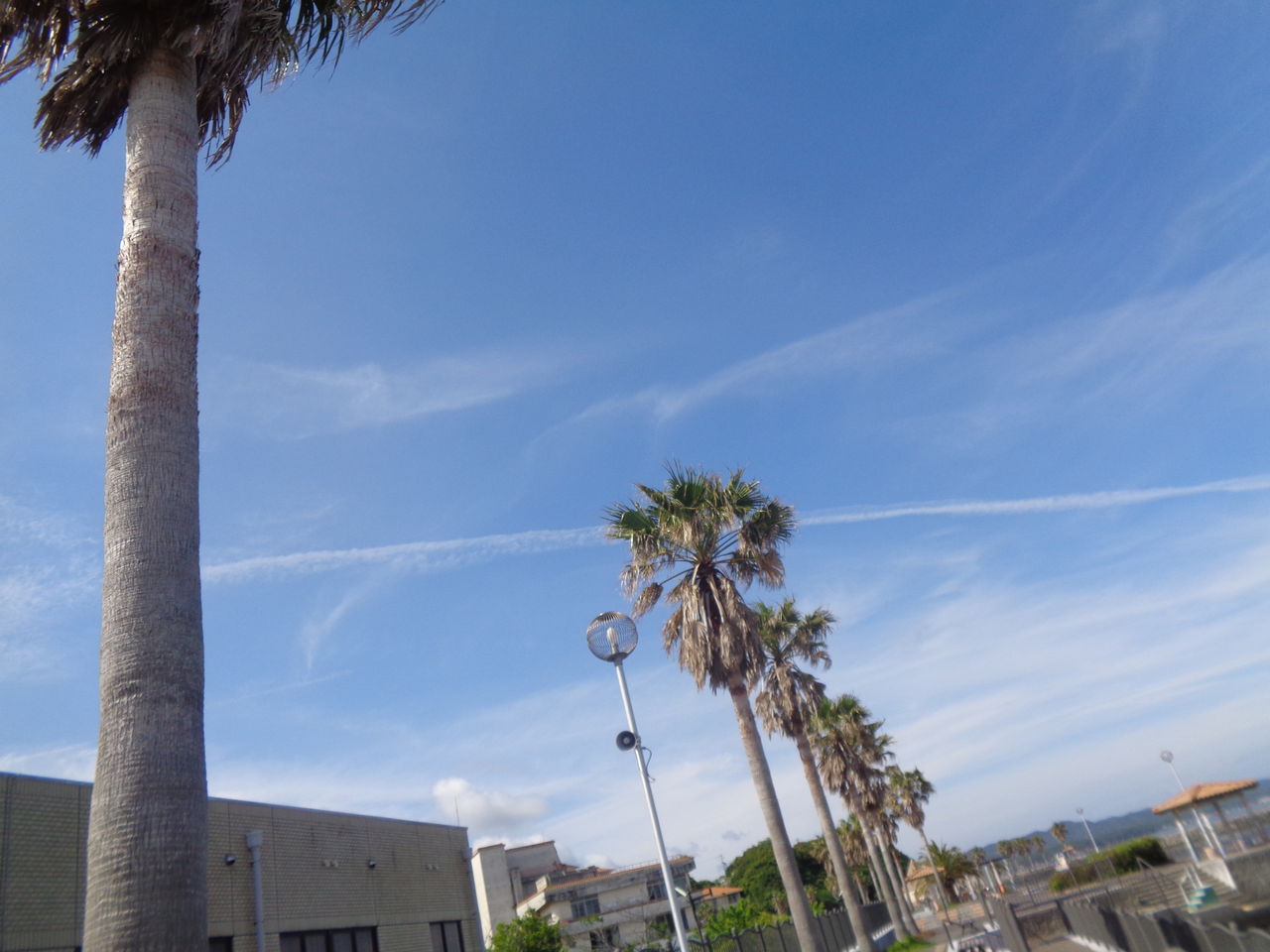 志摩市 渡鹿野島 まんまるblogの食べて遊んでパワーアップ