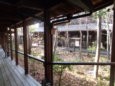 DSC07303